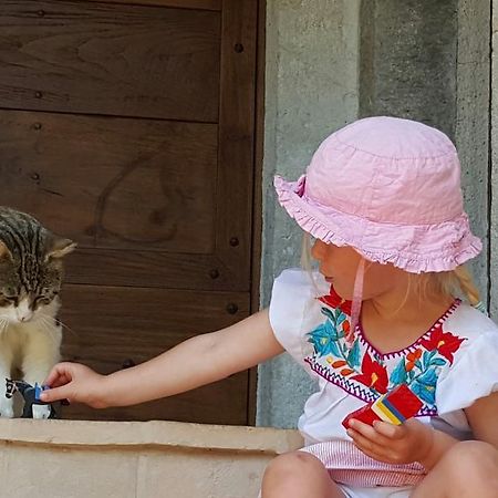 Agriturismo I Terzieri Ферентилло Экстерьер фото