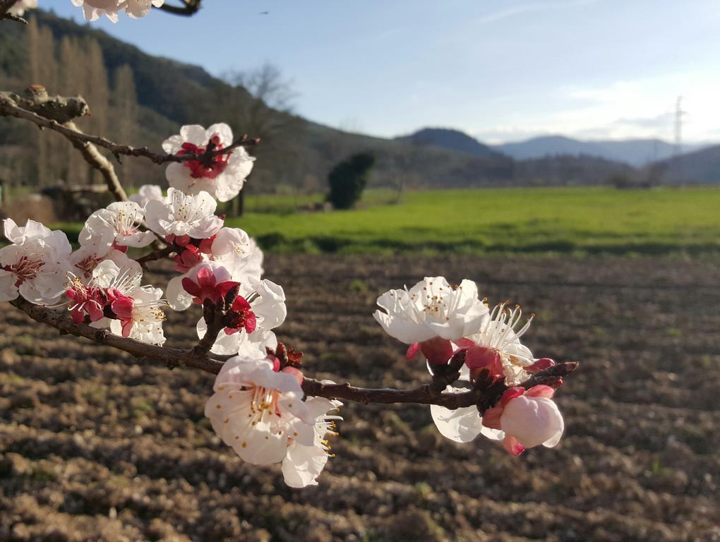 Agriturismo I Terzieri Ферентилло Экстерьер фото
