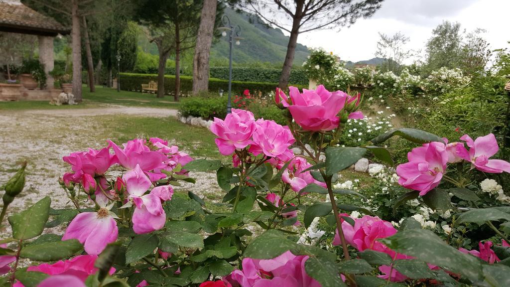 Agriturismo I Terzieri Ферентилло Экстерьер фото
