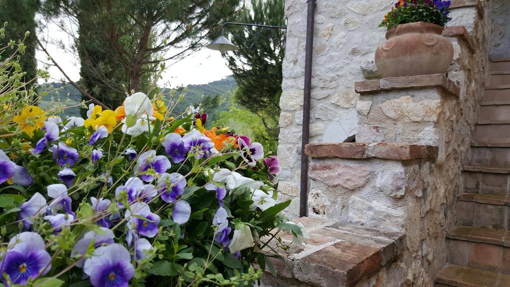 Agriturismo I Terzieri Ферентилло Экстерьер фото