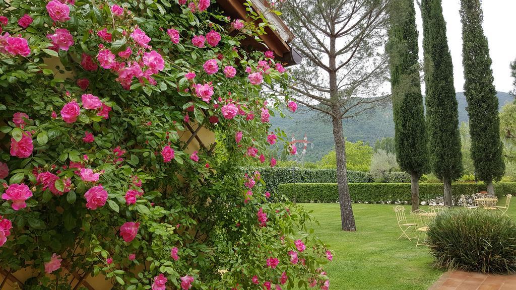 Agriturismo I Terzieri Ферентилло Экстерьер фото